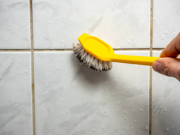 Best Same-Day Mold Removal  in Kingsland, TX